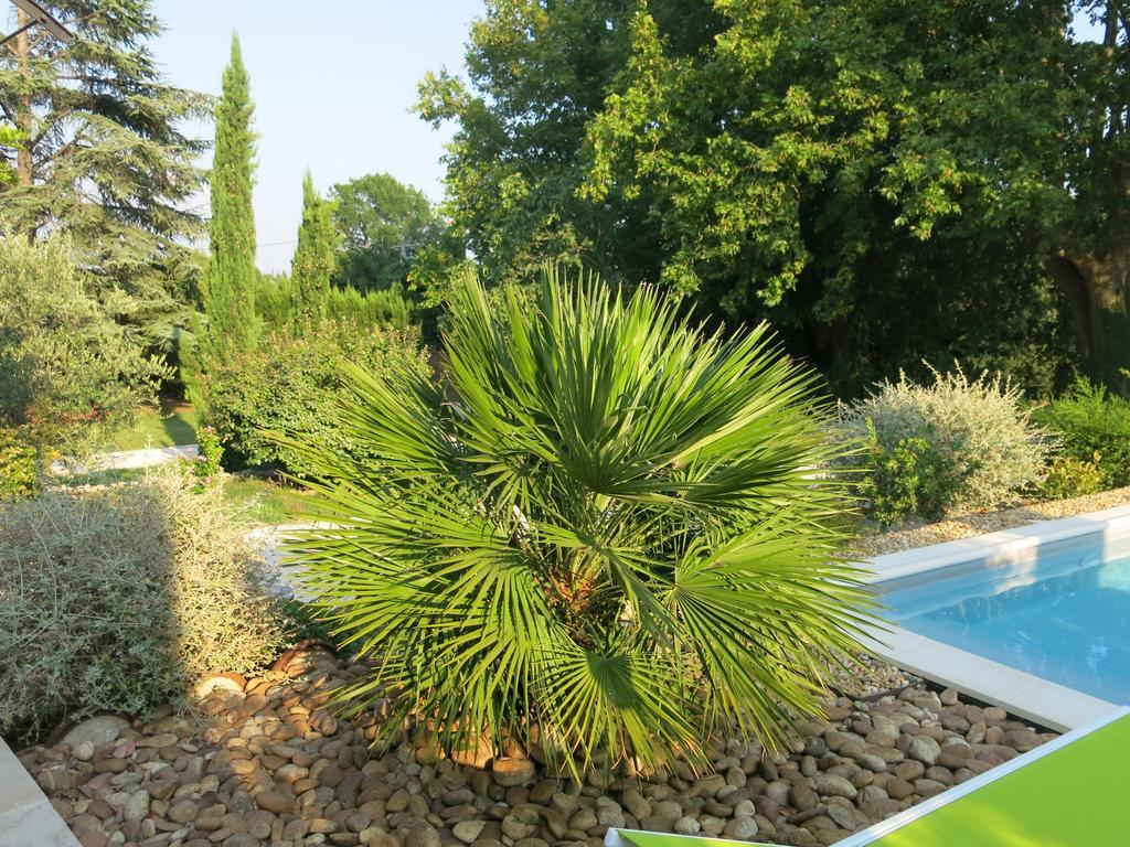 Mas De Mariette Bed and Breakfast Noves Exterior foto