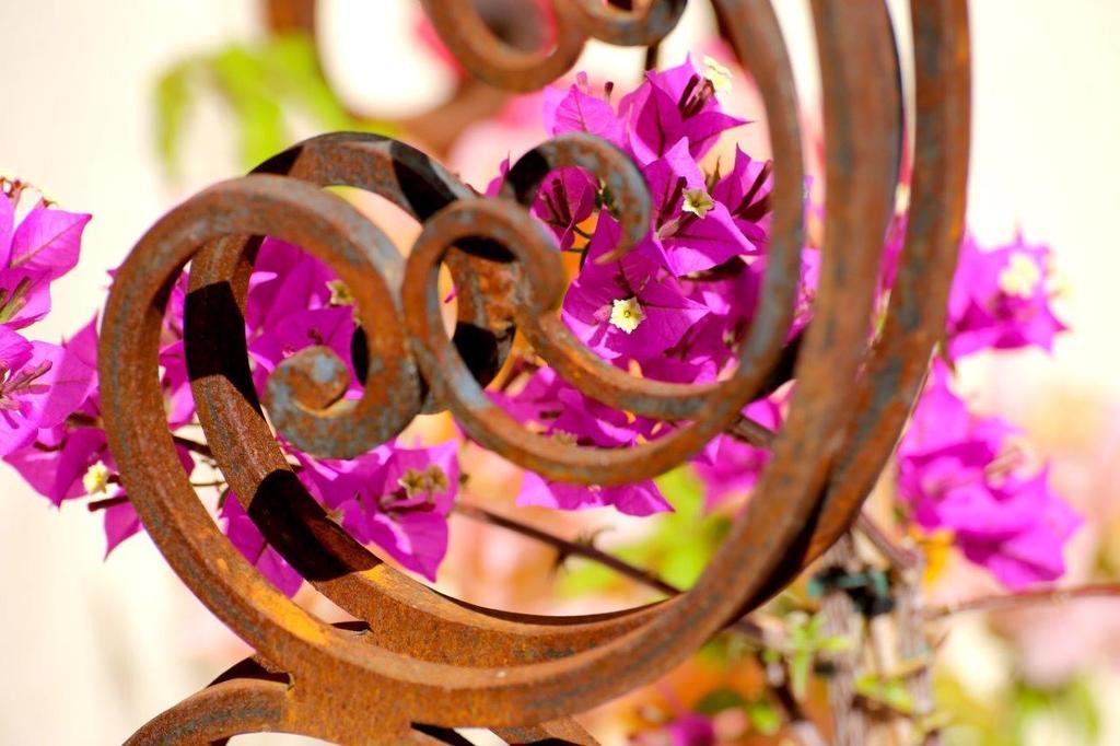 Mas De Mariette Bed and Breakfast Noves Exterior foto